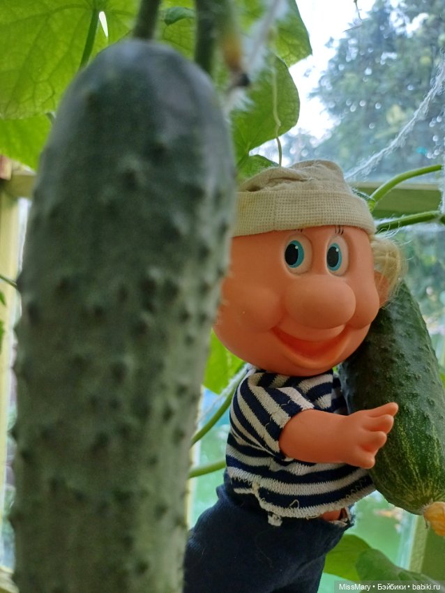 Дядя Увэ - молодец, вырастил он огурец 🥒🥒 🥒