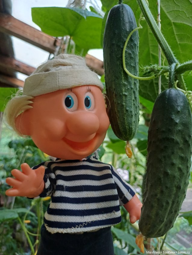 Дядя Увэ - молодец, вырастил он огурец 🥒🥒 🥒 (фото 9)
