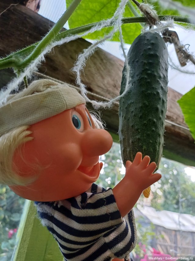 Дядя Увэ - молодец, вырастил он огурец 🥒🥒 🥒