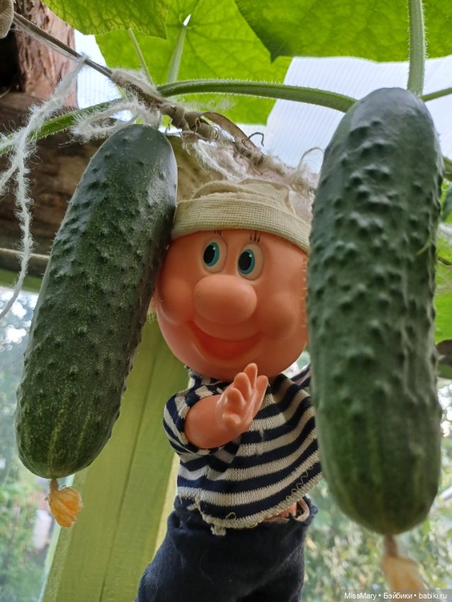 Дядя Увэ - молодец, вырастил он огурец 🥒🥒 🥒 (фото 5)