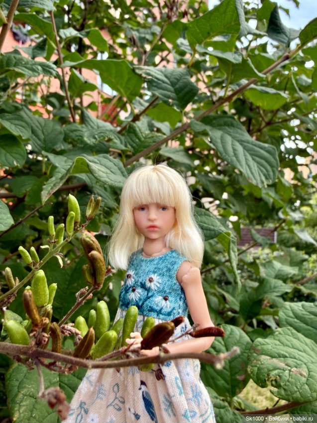 Ажуркин август — Разные куклы BJD (БЖД): редкие бренды (фото 7)