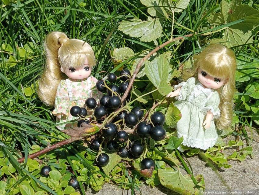 Ранний урожай) — Куклы Takara Tomy (Такара): Licca (Ликка) (фото 4)