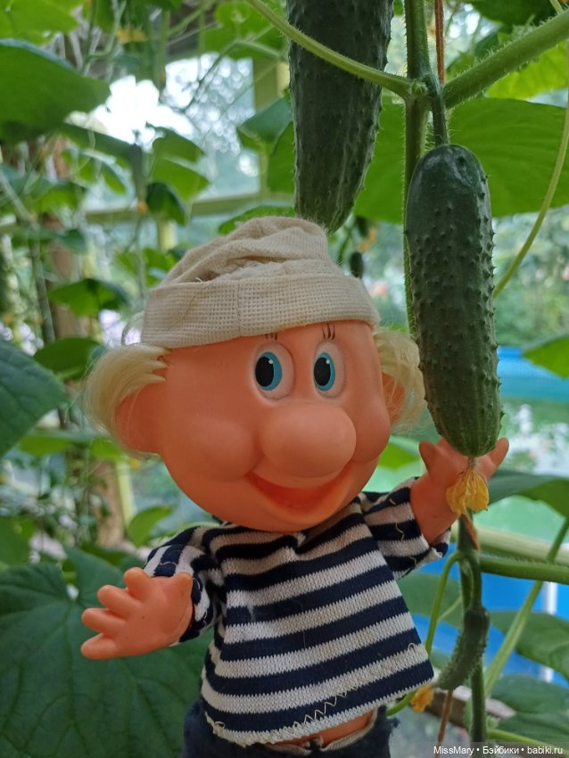 Дядя Увэ - молодец, вырастил он огурец 🥒🥒 🥒 (фото 4)
