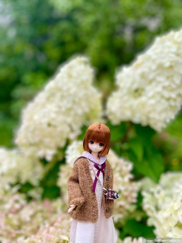 Azone Meryl — Куклы Azone (Азон) и тела Pure Neemo: фото