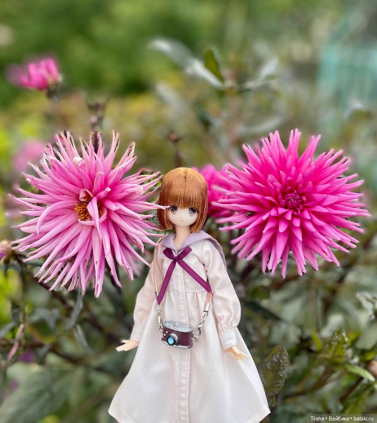 Azone Meryl — Куклы Azone (Азон) и тела Pure Neemo: фото
