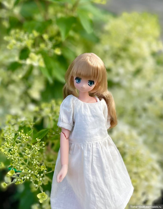 Азоночка Корон — Куклы Azone (Азон) и тела Pure Neemo: фото (фото 3)