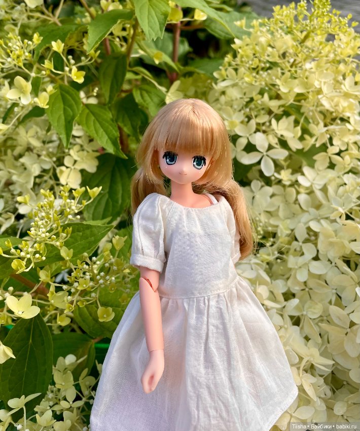 Азоночка Корон — Куклы Azone (Азон) и тела Pure Neemo: фото (фото 7)