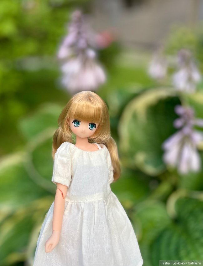 Азоночка Корон — Куклы Azone (Азон) и тела Pure Neemo: фото (фото 9)