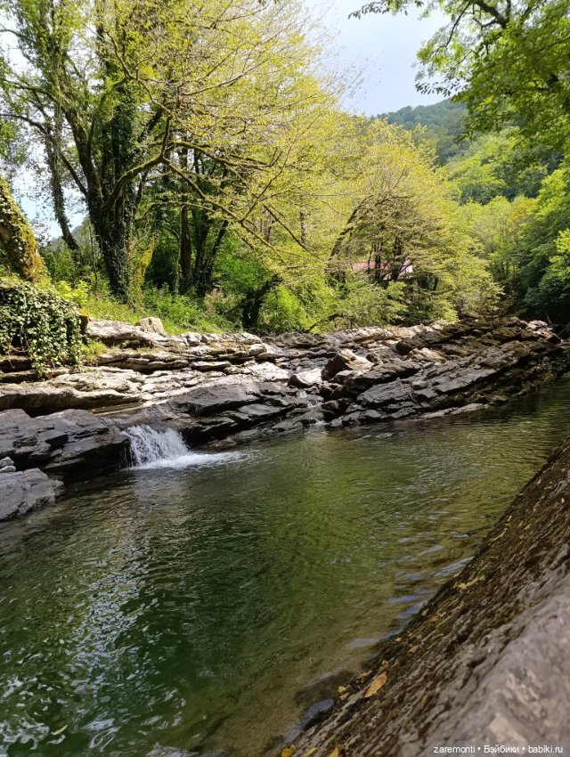 На природе — Куклы Барби (фото 2)