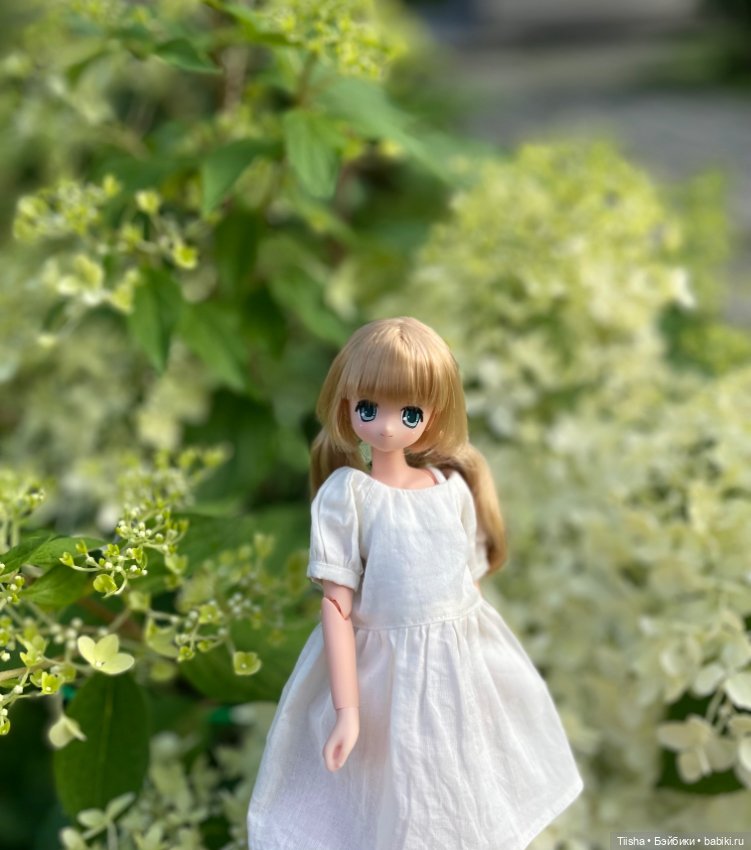 Азоночка Корон — Куклы Azone (Азон) и тела Pure Neemo: фото (фото 6)