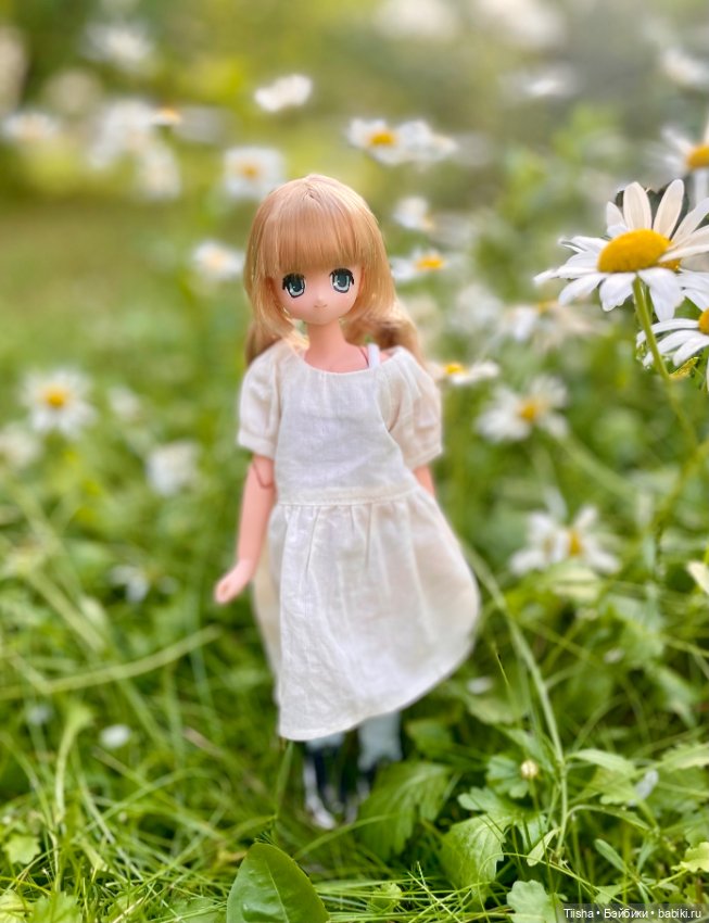 Азоночка Корон — Куклы Azone (Азон) и тела Pure Neemo: фото