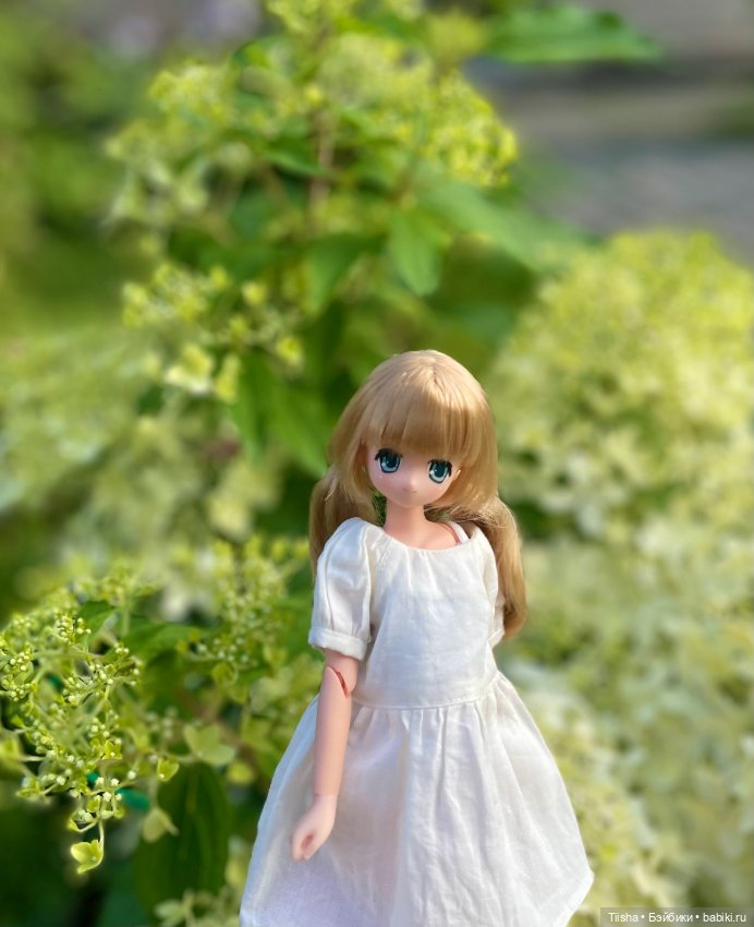Азоночка Корон — Куклы Azone (Азон) и тела Pure Neemo: фото (фото 8)