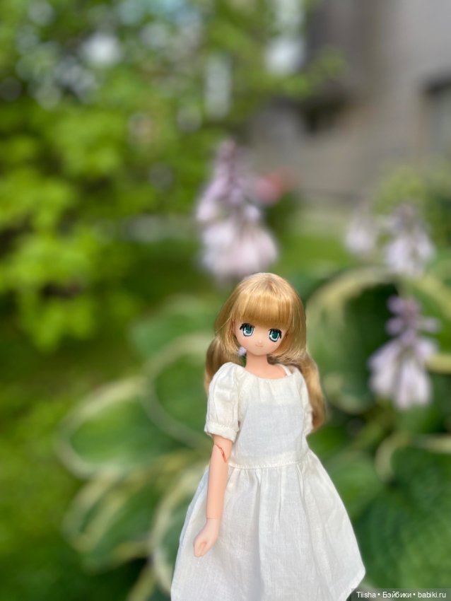Азоночка Корон — Куклы Azone (Азон) и тела Pure Neemo: фото