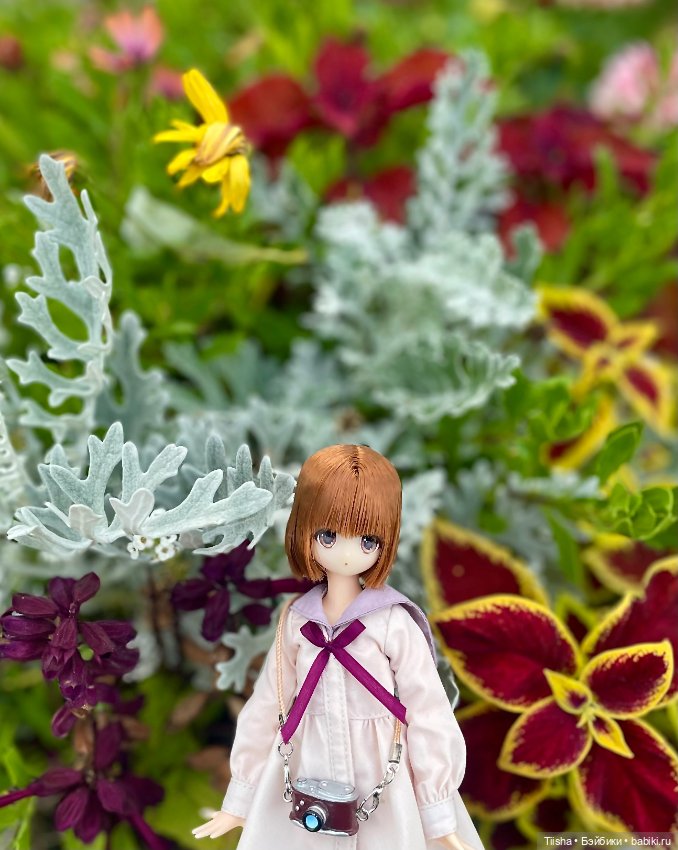 Azone Meryl — Куклы Azone (Азон) и тела Pure Neemo: фото