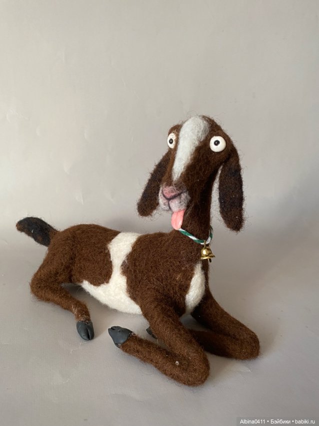 Коза нубийская, коза домашняя (фото 10)