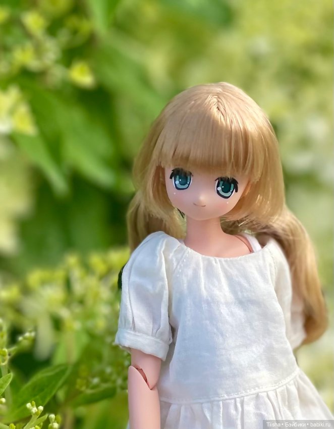 Азоночка Корон — Куклы Azone (Азон) и тела Pure Neemo: фото (фото 4)