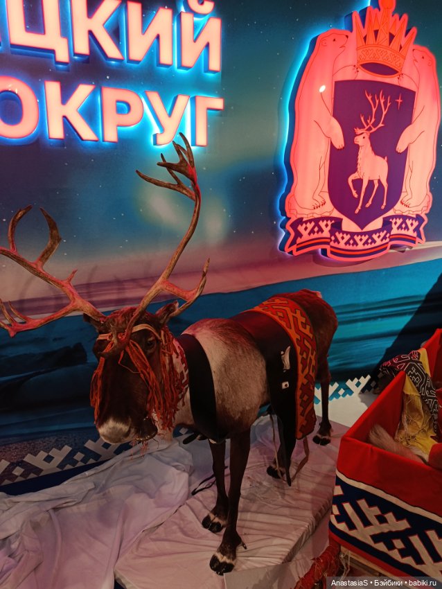 Этнофестиваль "Сокровища Севера" Красноярск, 2026 (фото 8)