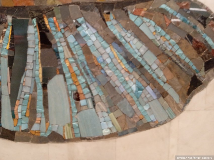Рыбовое показывают — Куклы Rainbow High (Рейнбоу Хай