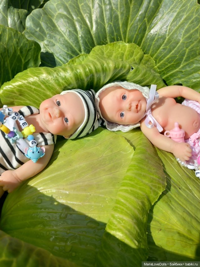 Пололи, значит, мы капусту