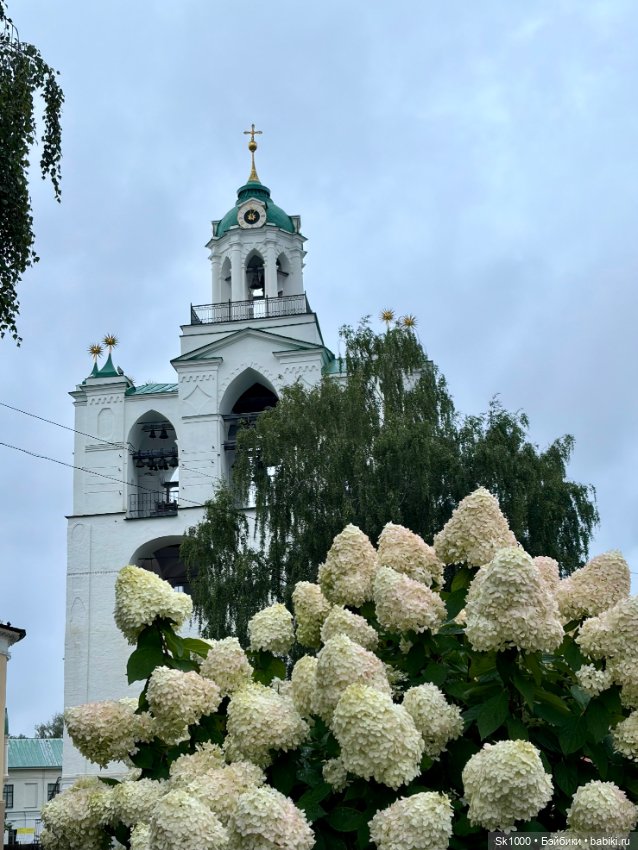 В Ярославский Кремль с Ажур от Натальи Петровой (фото 2)