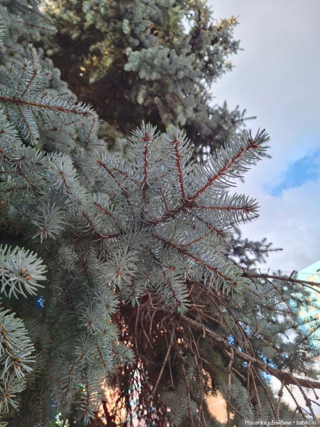Прогулка — Куклы Барби