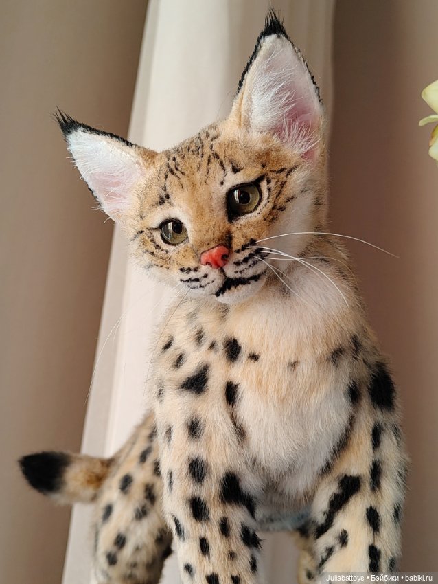 Котенок рыси. Реалистичная игрушка (фото 4)