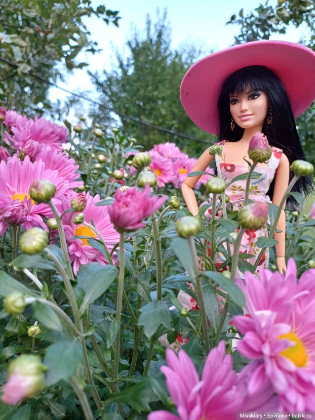 Рома и ромашки 🌸🌸🌸 — Куклы Барби