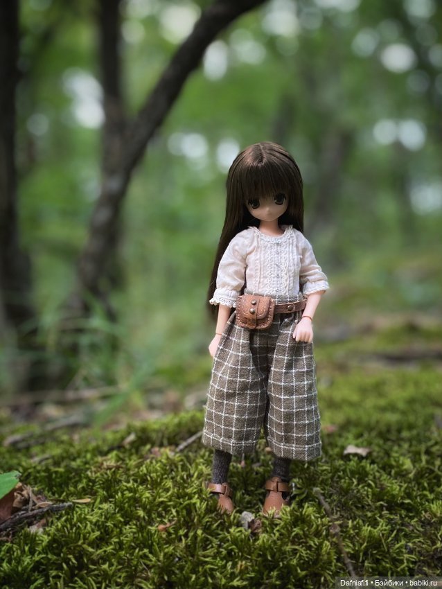 Миша и Рави — Куклы Azone (Азон) и тела Pure Neemo: фото