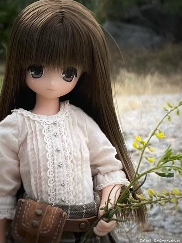 Миша и Рави — Куклы Azone (Азон) и тела Pure Neemo: фото