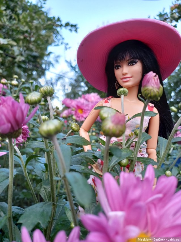 Рома и ромашки 🌸🌸🌸 — Куклы Барби