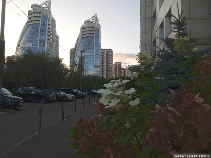 Челси и конец лета — Куклы Барби (фото 6)