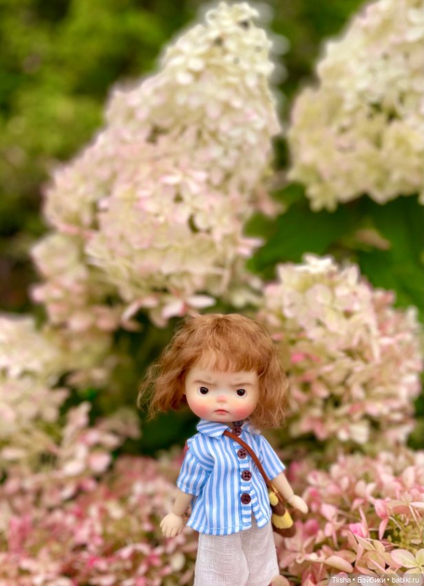 Недовольная Пчёлка ( Daya doll)