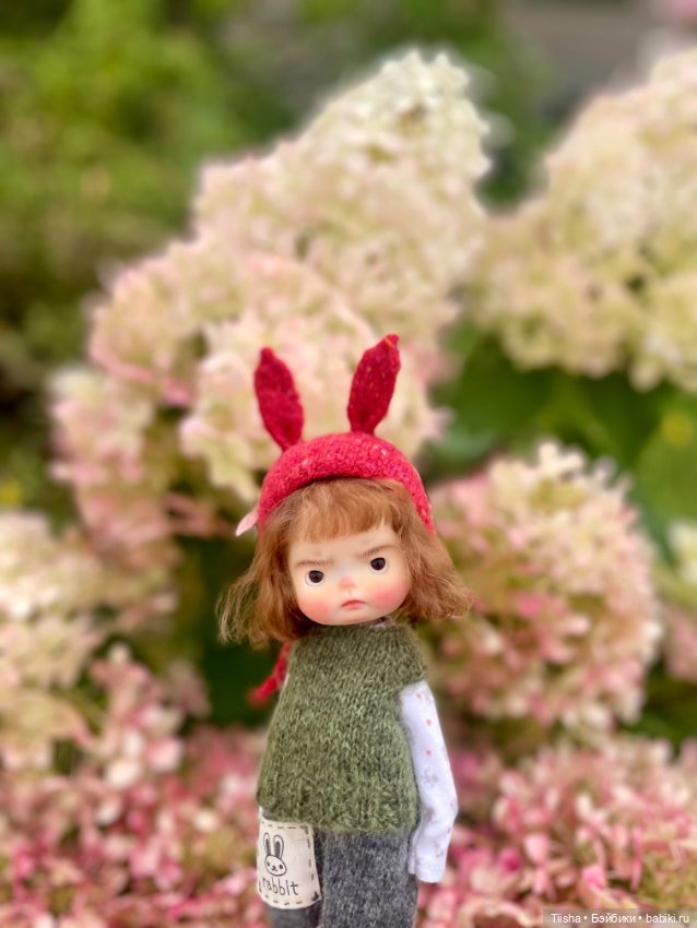 Вредины ( Daya doll и Lulu baobaodoll )