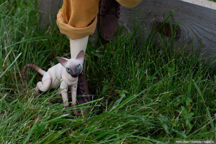 Урожай — Куклы Souldoll (Соулдолл): BJD (БЖД) (фото 4)