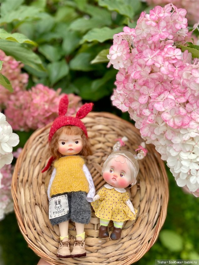 Вредины ( Daya doll и Lulu baobaodoll ) (фото 4)