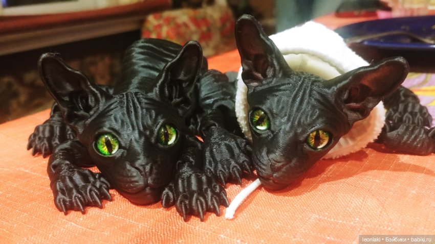 Без кота и жизнь НЕ та (любителям котиков посвящается)