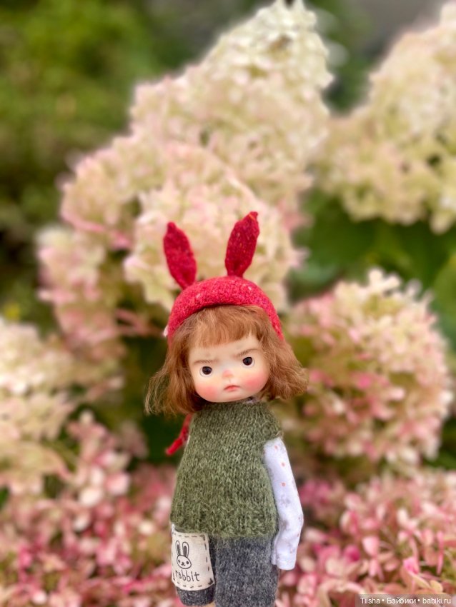 Вредины ( Daya doll и Lulu baobaodoll )