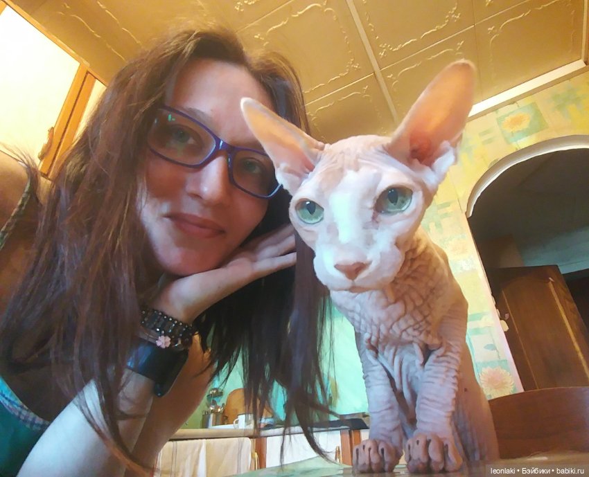 Без кота и жизнь НЕ та (любителям котиков посвящается)