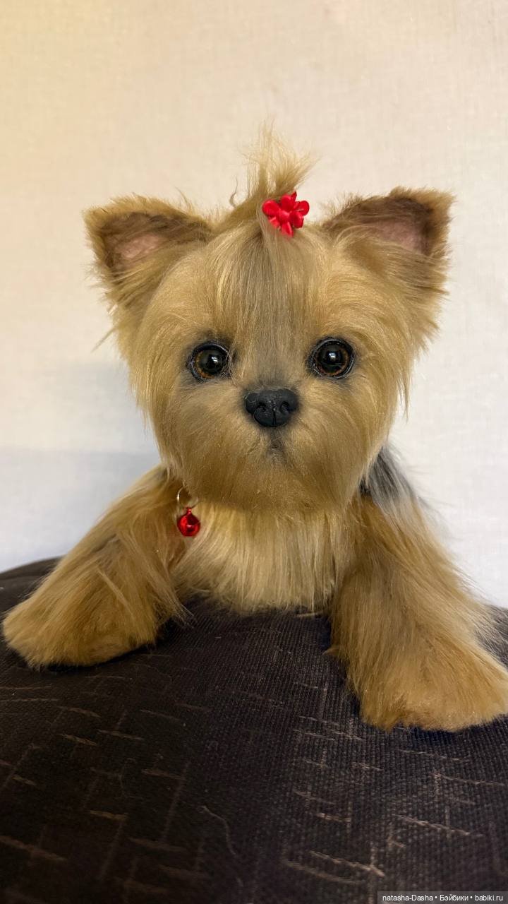 Малышка Йорочка 🐶🐕🐾 — Игрушки в смешанной технике (мех и глина): Арт (фото 2)