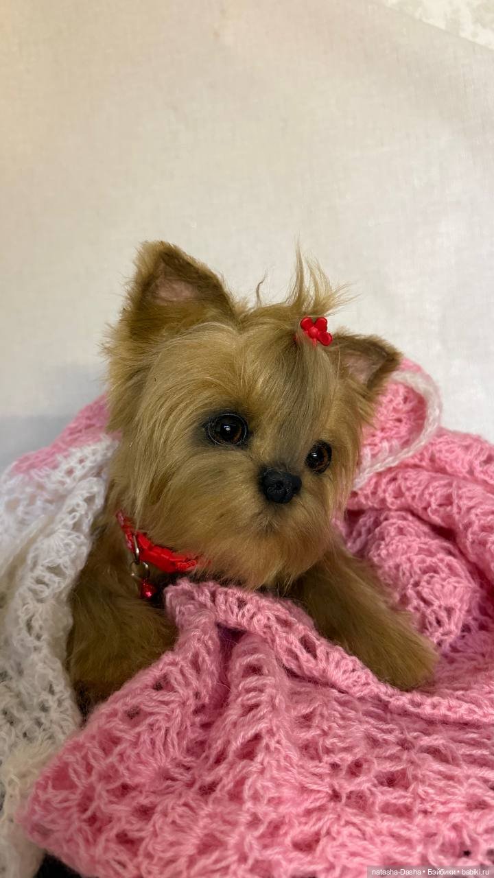 Малышка Йорочка 🐶🐕🐾 — Игрушки в смешанной технике (мех и глина): Арт (фото 6)
