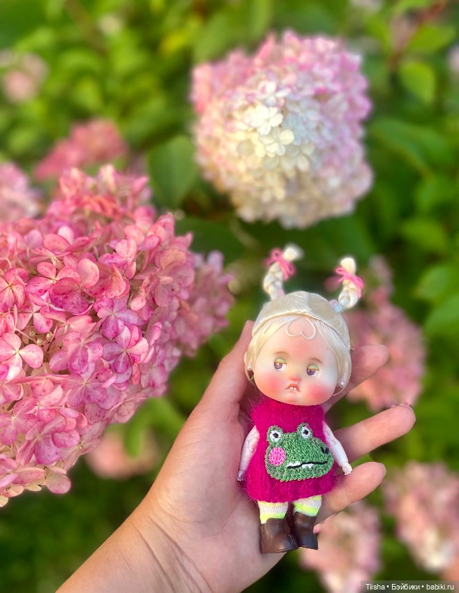 Мой маленький крокодил — Разные куклы BJD (БЖД): редкие бренды (фото 3)