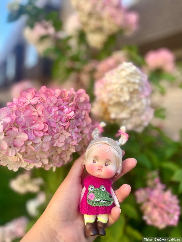 Мой маленький крокодил — Разные куклы BJD (БЖД): редкие бренды (фото 4)
