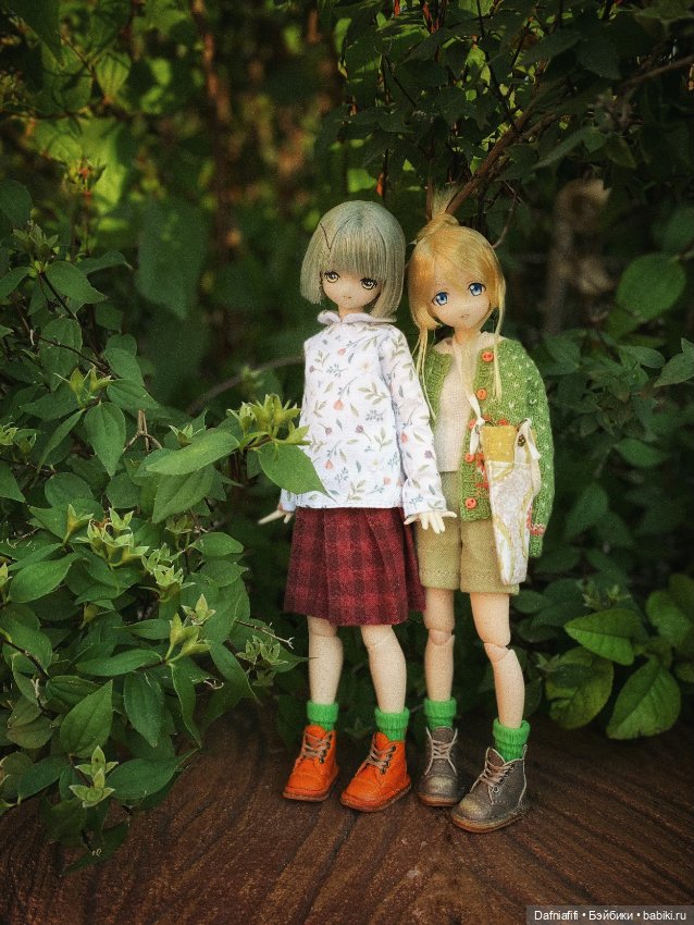 Куклы Azone (Азон) и тела Pure Neemo: фото