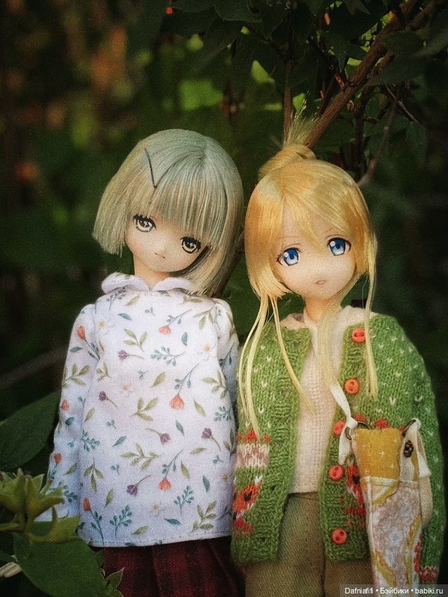 Куклы Azone (Азон) и тела Pure Neemo: фото