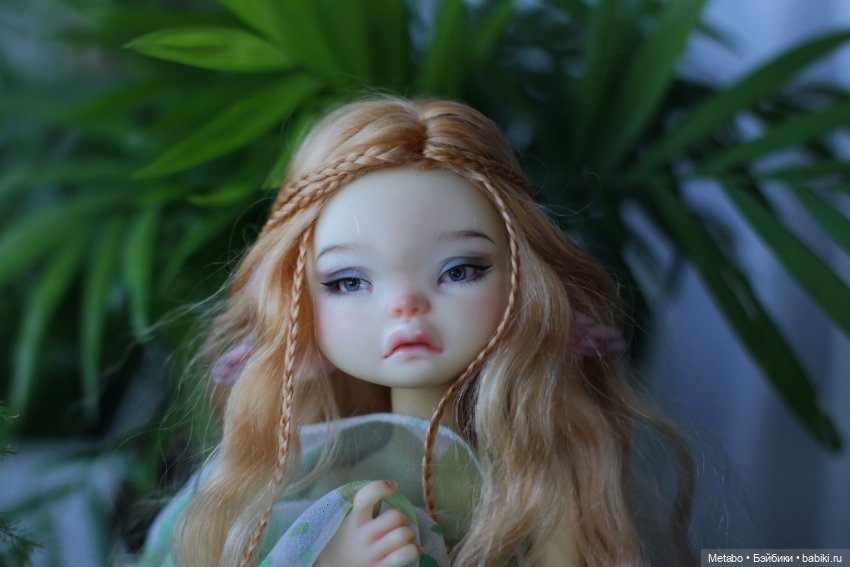Моя первая БЖД. Coti Appi Dust of Dolls