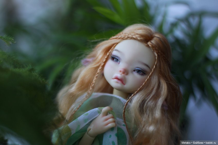 Моя первая БЖД. Coti Appi Dust of Dolls
