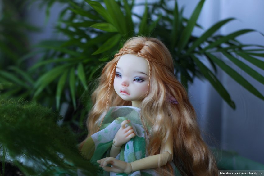 Моя первая БЖД. Coti Appi Dust of Dolls