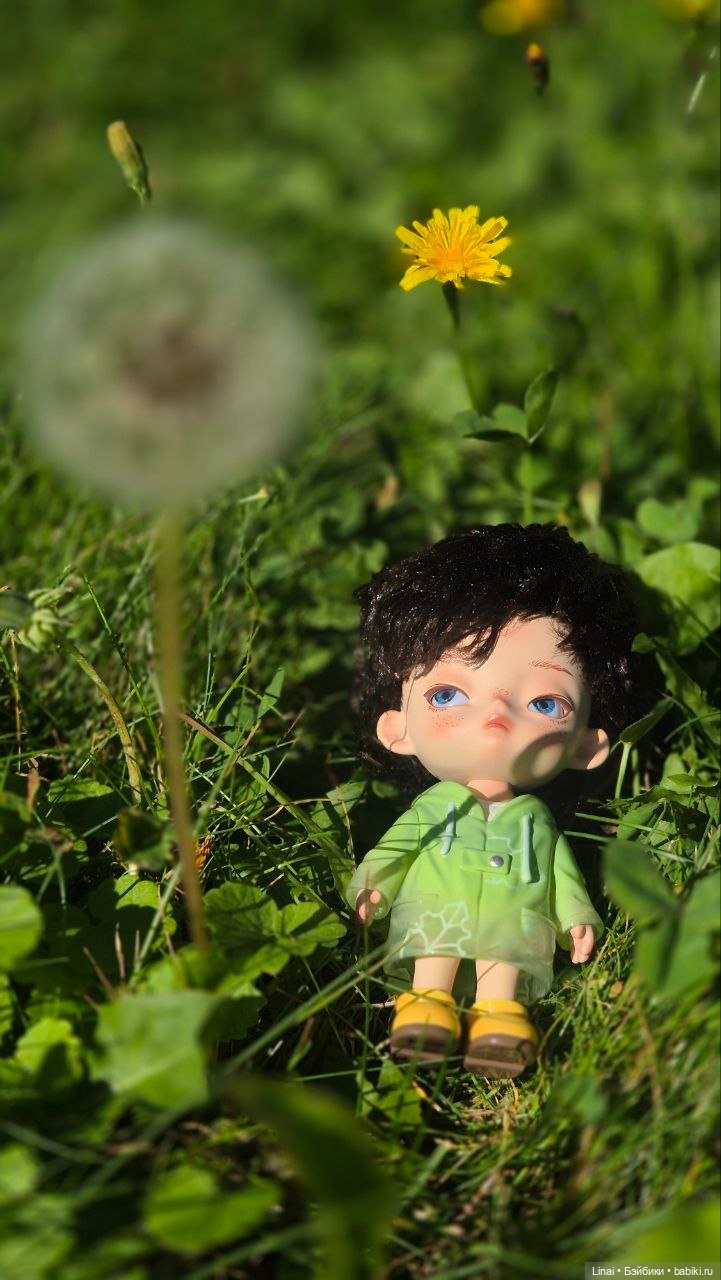 Первая Данькина прогулка — Другие Blind Box и Арт