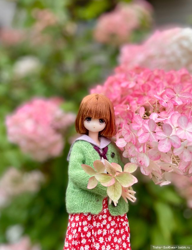 Азоночка Meril — Куклы Azone (Азон) и тела Pure Neemo: фото