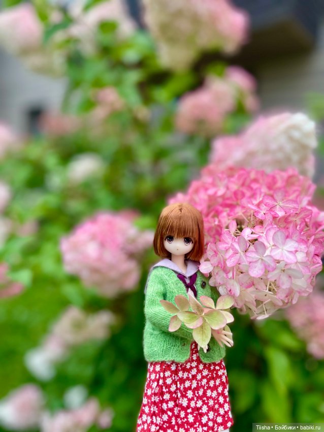 Азоночка Meril — Куклы Azone (Азон) и тела Pure Neemo: фото (фото 3)